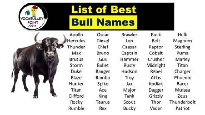 List of Celebrities with first name: Bull