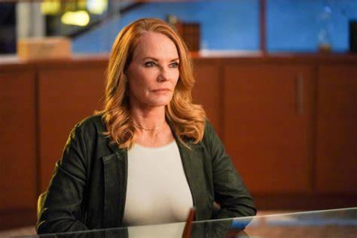 Marg Marg Helgenberger in CSI Vegas season 2