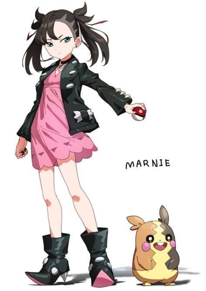 Marnie in the Pok&eacute;mon Aventures anime