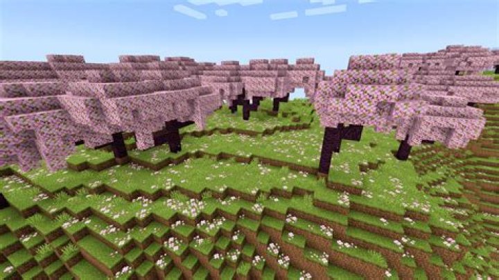 Minecraft Chain of Cherry Blossoms World Seed