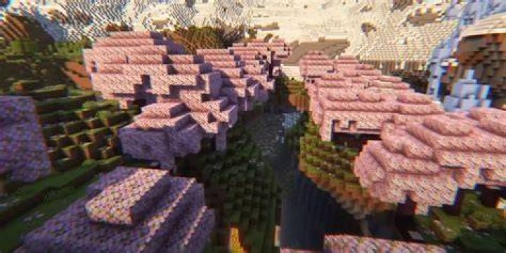 Minecraft Icy Blossom Gorge Seed
