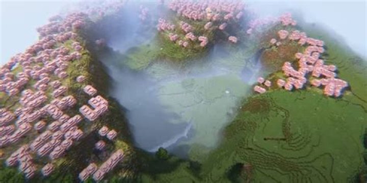 Minecraft Meadow of Love Cherry Blossom Seed