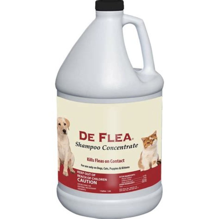 Miracle Care De Flea Shampoo for Dogs & Puppies (1)