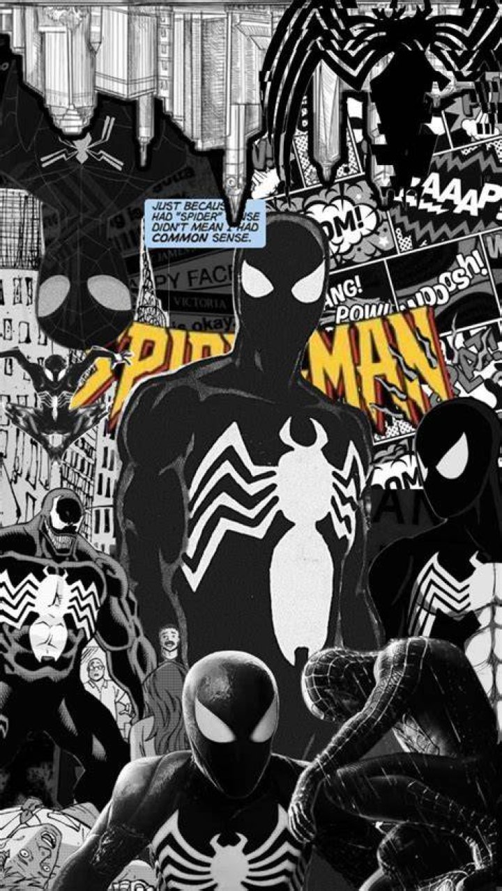 Montage of Spider-Man and Black Cat over a set of comic panels.
