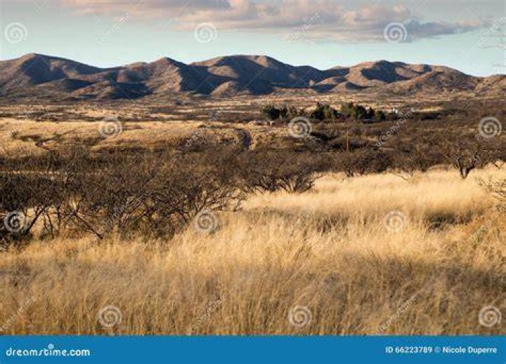Mountains of Sasabe, AZ stock image. Image of dirt, desert 66223789