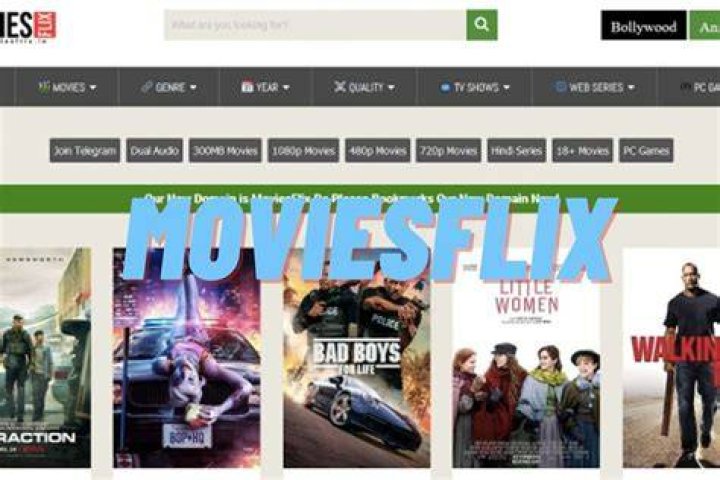 Moviesflix 2023 MoviesFlix Pro Download Latest HD Bollywood