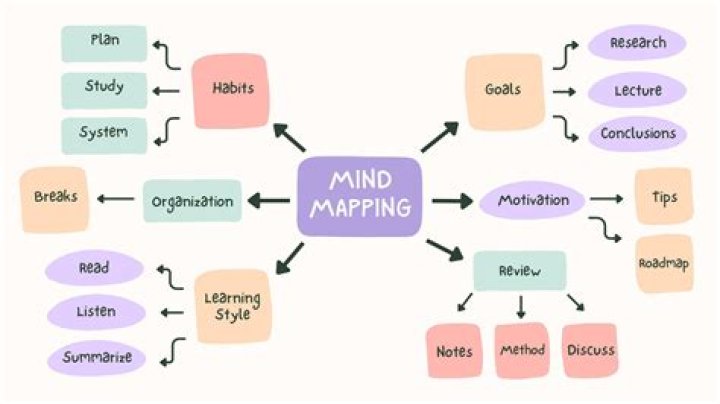 Mr Chip Mind Map