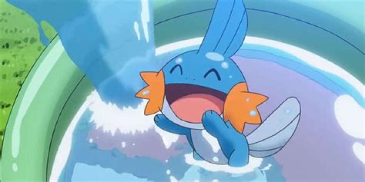 Mudkip from the Pokemon series