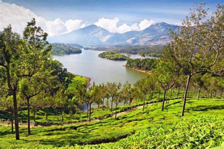 munnar, india