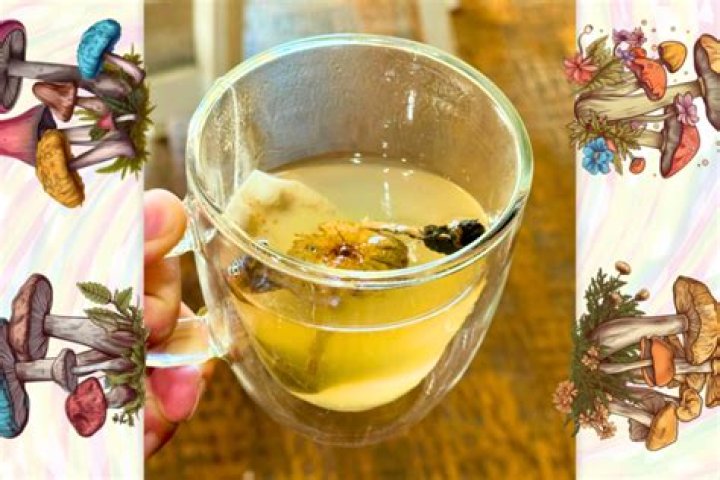 mushroom tea