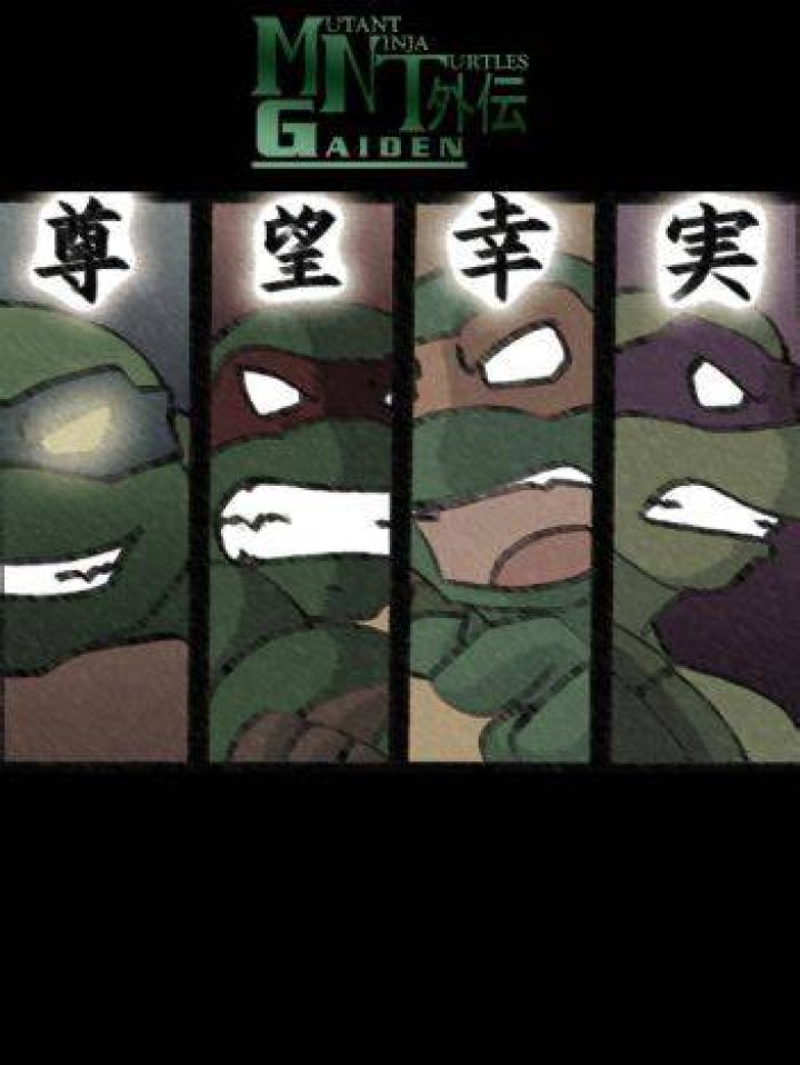 Mutant Ninja Turtles Gaiden