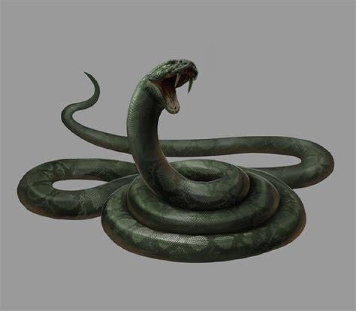 Nagini On the Malfoy's Table in Harry Potter and the Deathly Hallows