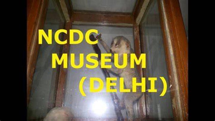 NCDC MUSEUM, DELHI (INDIA) YouTube