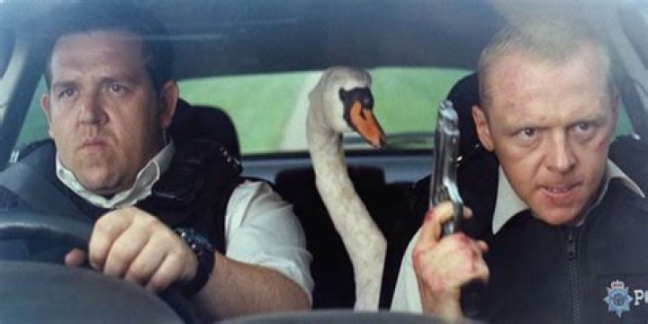 Nicholas, Danny, and the swan in Hot Fuzz