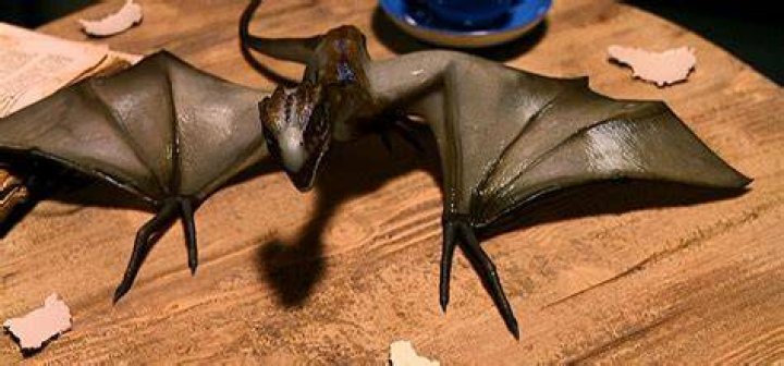 Norbert the baby dragon from Harry Potter