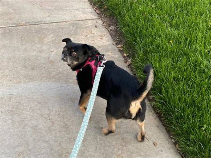 Olive walks to console her brother Dwayne as he sits on the ground in Little Miss Sunshine
