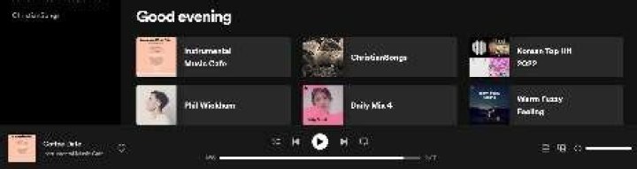 open.spotify.com