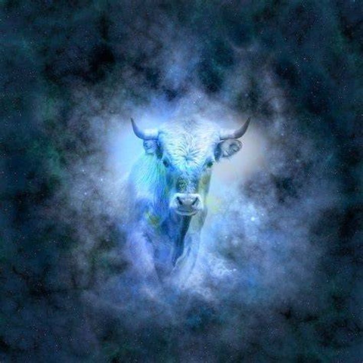 Our Taurus Midheaven The Mystic Medium