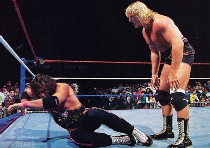 Owen Hart Vs Bret Hart