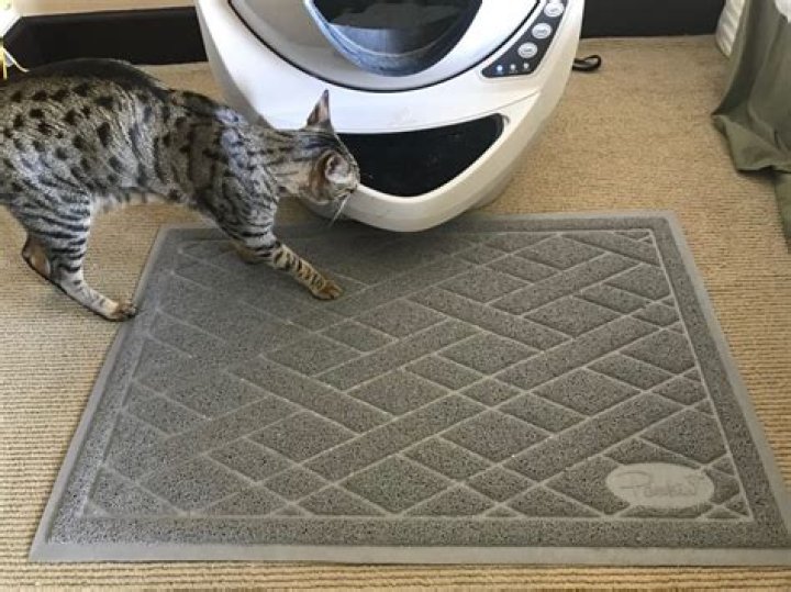 Pawkin Cat Litter Mat