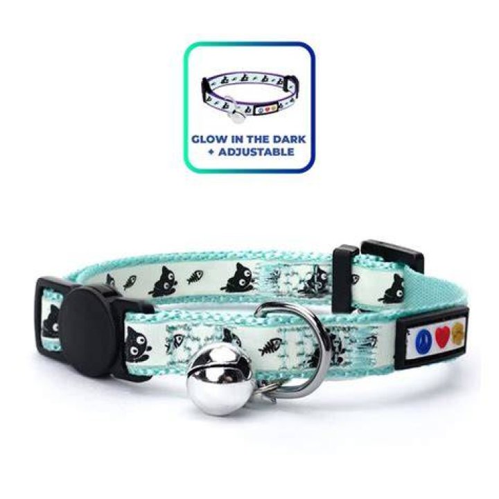 Pawtitas Glow in the Dark Cat Collar