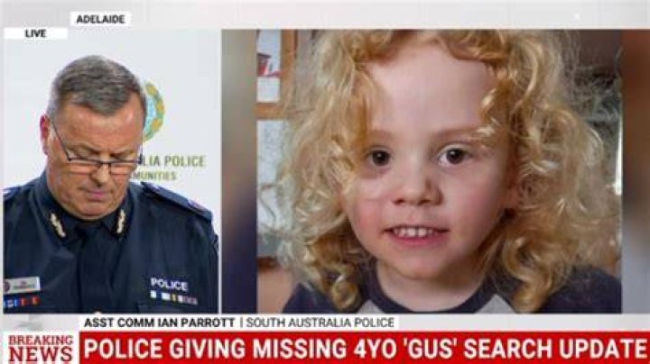 Pedro Dasilva Missing Update 2023: Latest On Kidnapping Case And Search For 3-Year-Old Boy