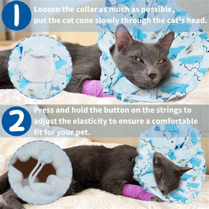 PETBABA Cat Cone