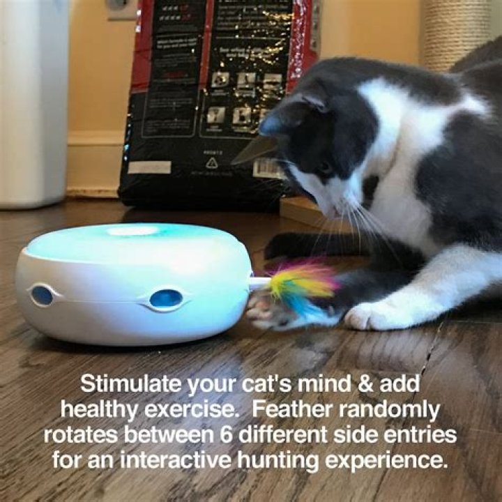 PetFusion Ambush Interactive Electronic