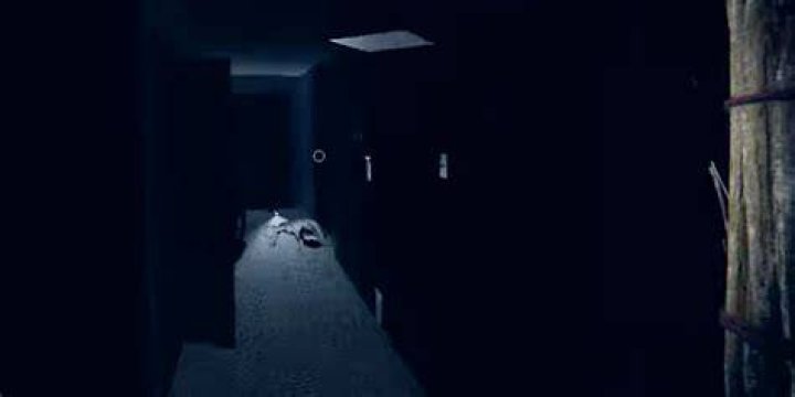 Phasmophobia Twins Ghost in Hallway