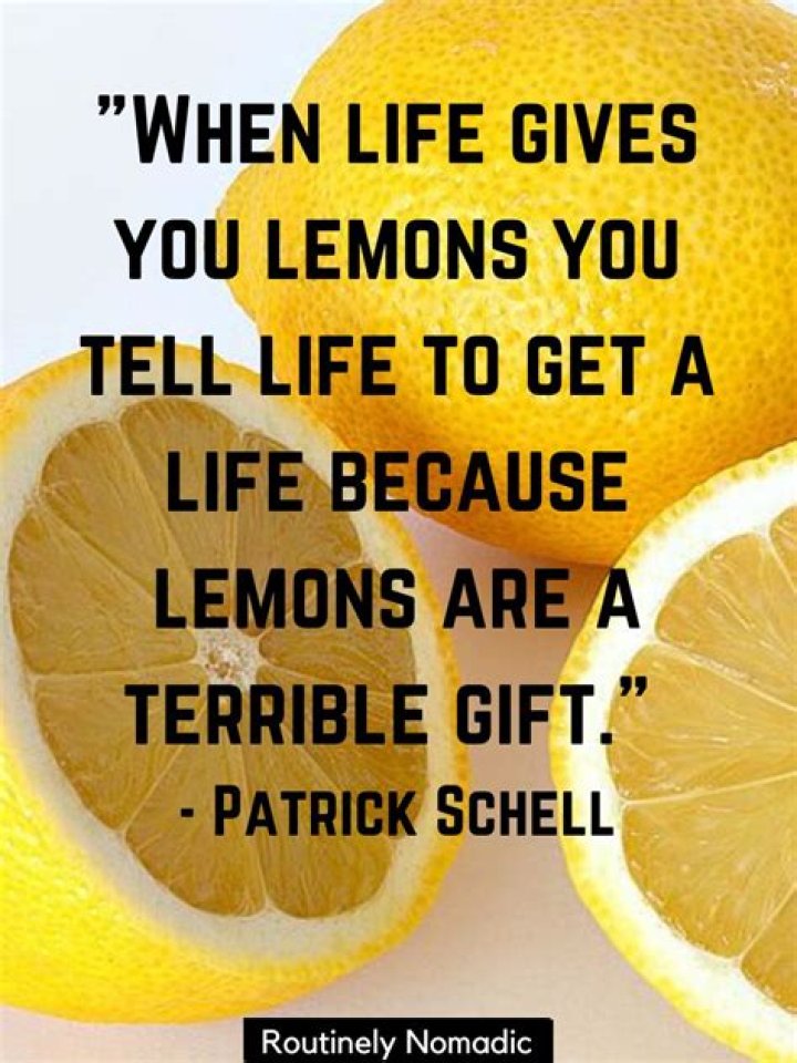philosophy - when life gives you lemonade - modern family