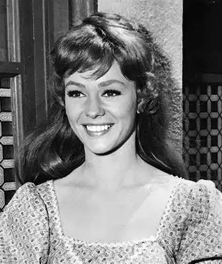 Pictures of Judi Meredith