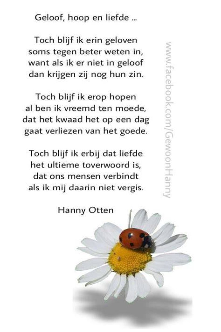 Pin by Anja on Familiebreuk Disrespectful people, Disrespect quotes
