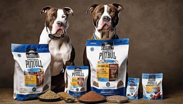 Pitbull entertainer wife, dog food analysis 2015, how do you stop a