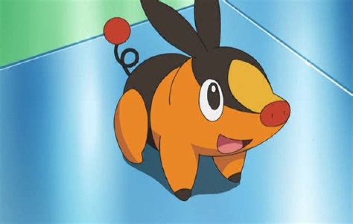 Pokemon Tepig