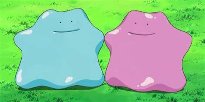 Pokemon Two Ditto Cover