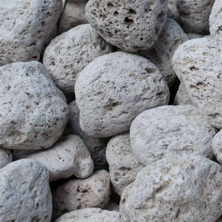 pumice stones