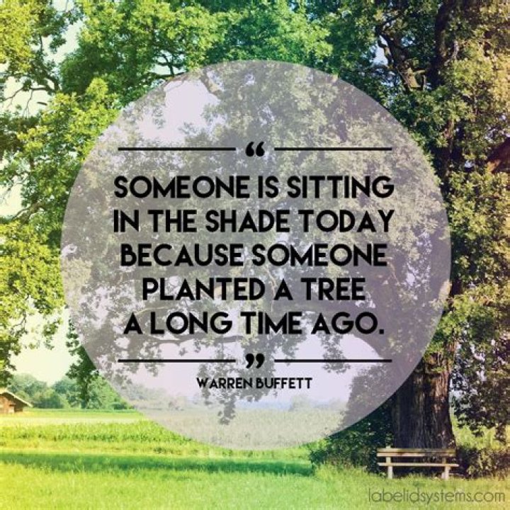 Quote About Planting A Tree Trees to plant, Tree quotes, Arbor day