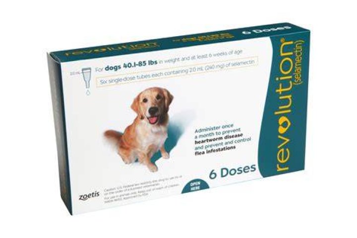 Revolution Topical Solution for Dogs