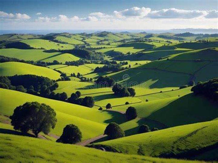 rolling green countryside in China