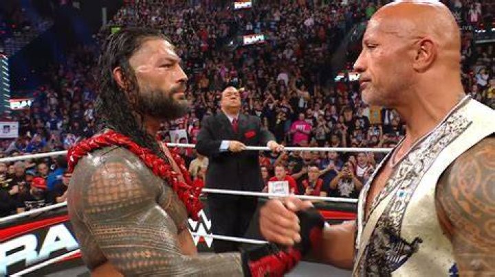 Roman Reigns And The Rock Royal Rumble 2015 