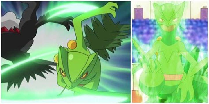 Sceptile defeats Darkrai
