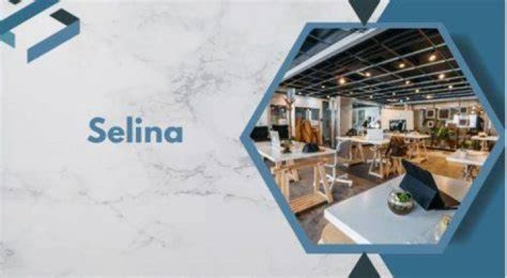 selina coworking remote programs logo