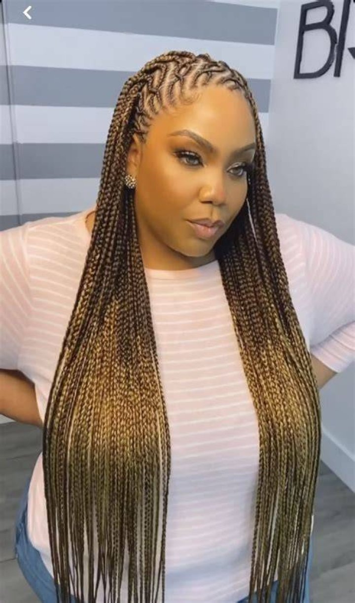 Single Braids Hairstyles New Summer Trend 2017