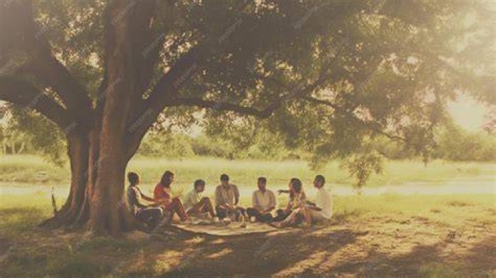 sitting under tree and chatting