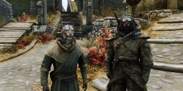 Skyrim Together Mod Guide: How to Download (& Install)