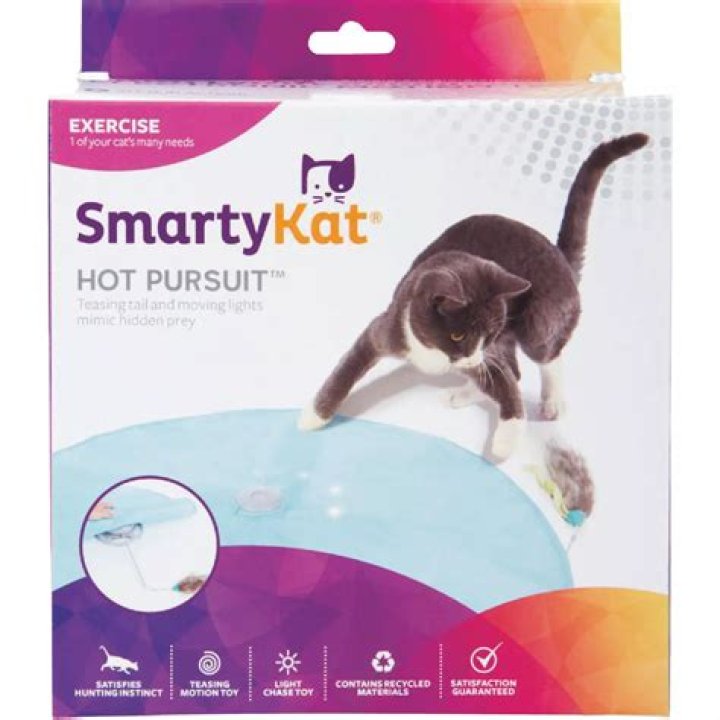 SmartyKat Hot Pursuit Electronic
