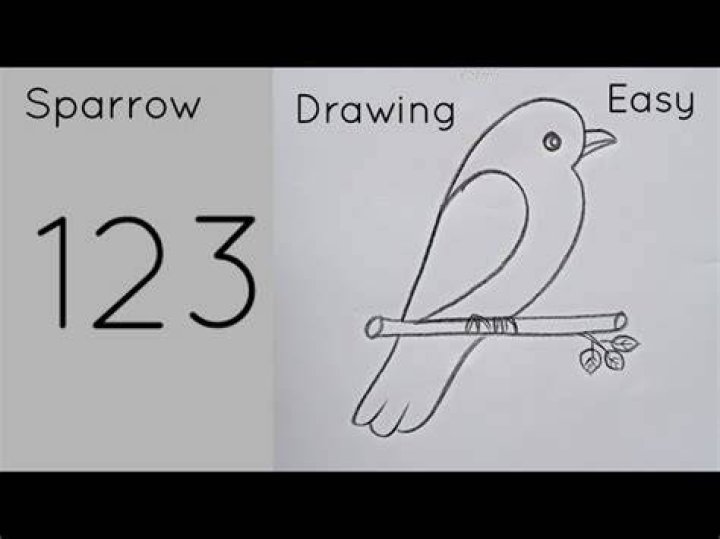 Sparrow is an easy way to access home equity and no longer means moving.