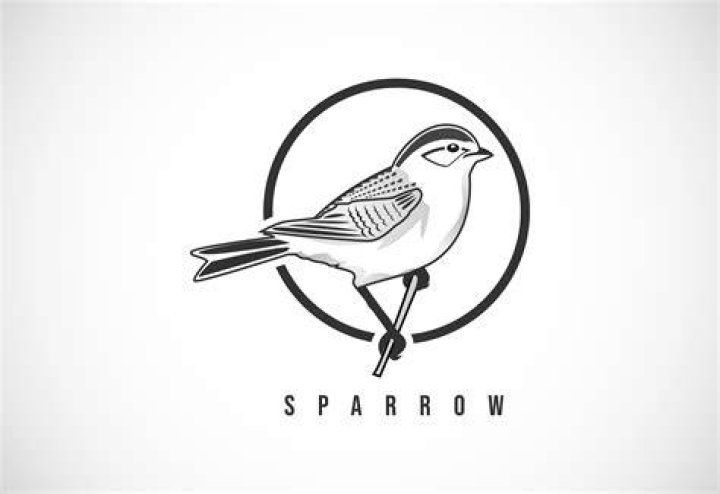 Sparrow Logo