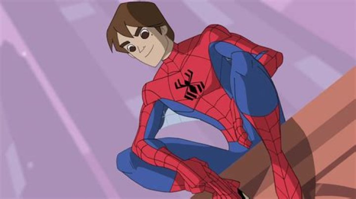 Spectacular Spider-Man smiling on a rooftop