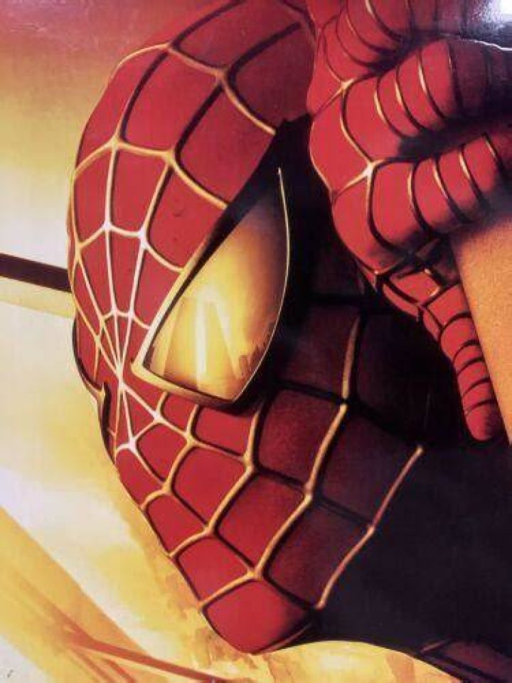 Spider-Man with Twin Towers Reflection